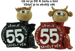 Narozeninová figurka - skvělý věk 55